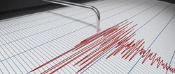 CAL FIRE CEU Approved - Seismic Protection and Fire Sprinkler System Support - 10hr Online Courseimage